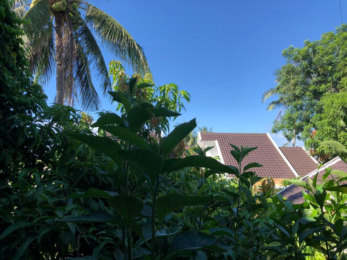 Отель Hoang Ngoc'S House Туихоа Экстерьер фото